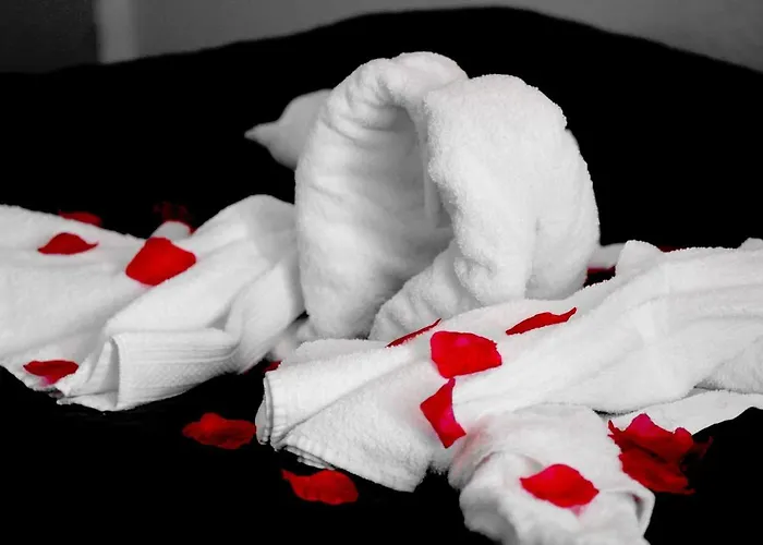 Ocean View Apartamento